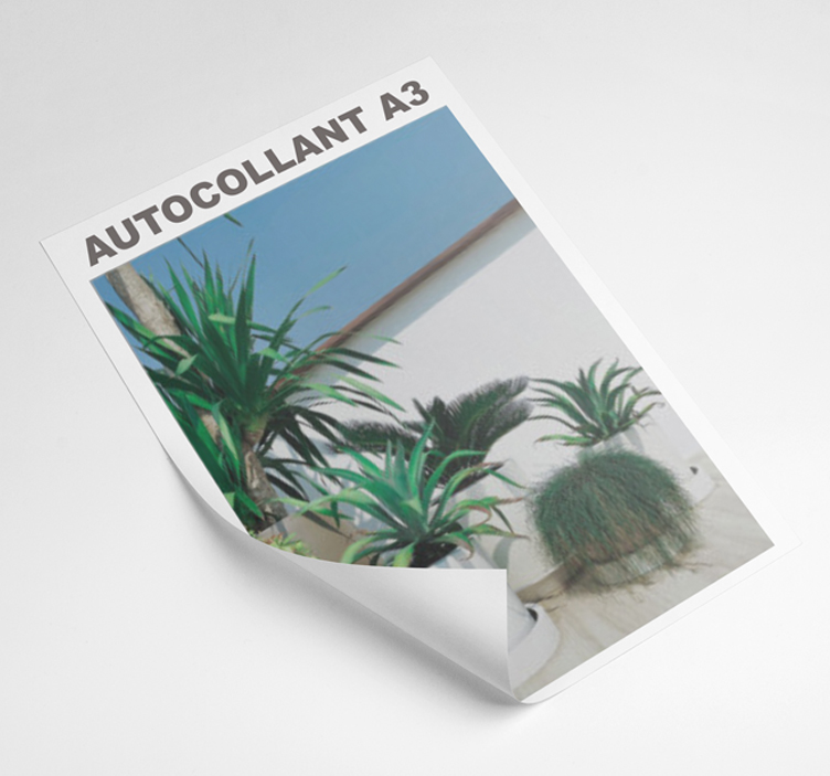 A3 autocollant